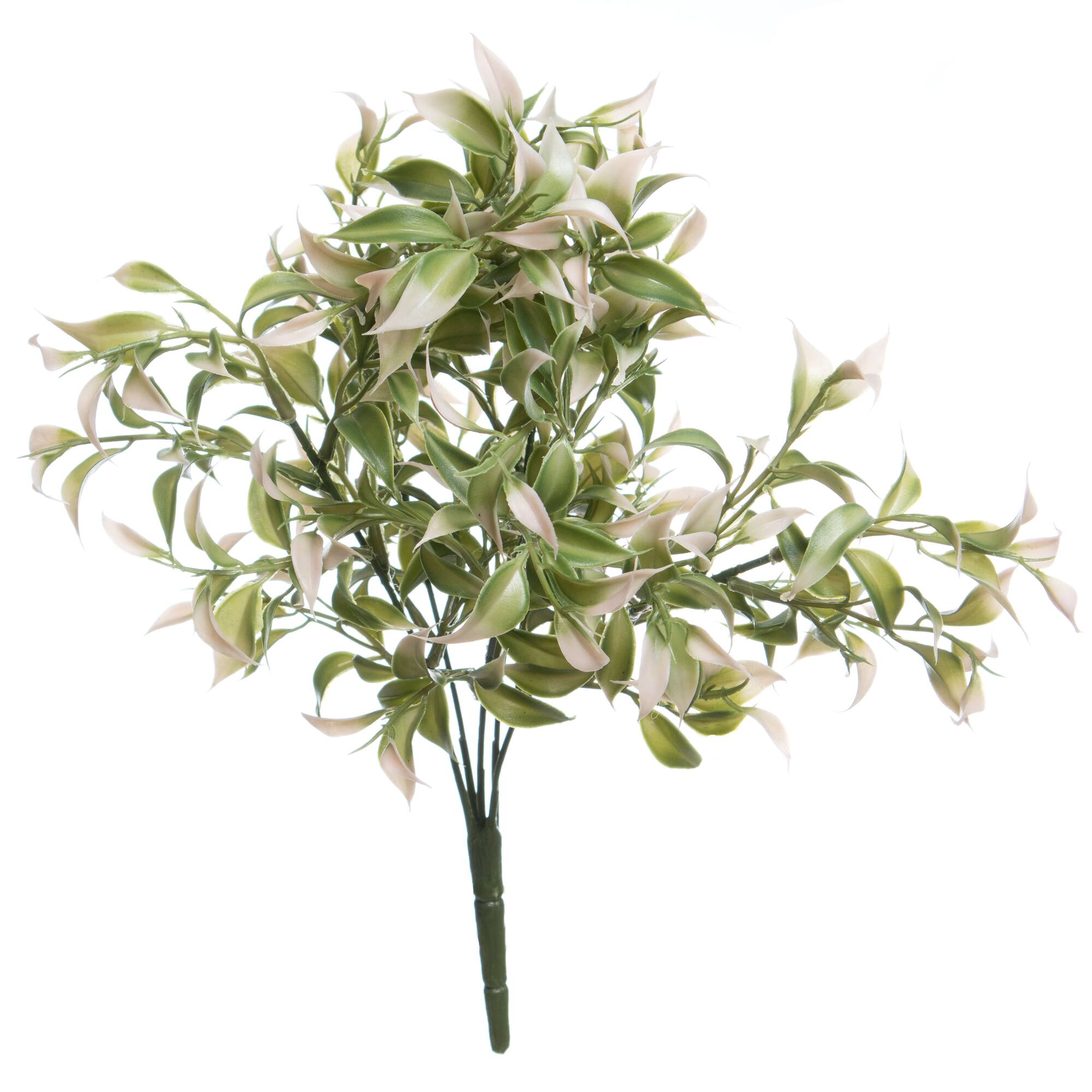 13" Ruscus Bush by Ashland